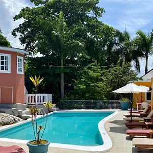 The Blue Orchid Frühstückspension Montego Bay